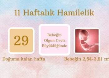 11 haftalık hamilelik