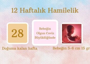 12 haftalık hamilelik