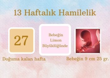 13 haftalık hamilelik