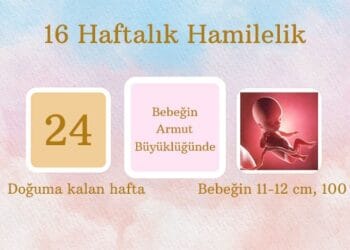 16 haftalık hamilelik