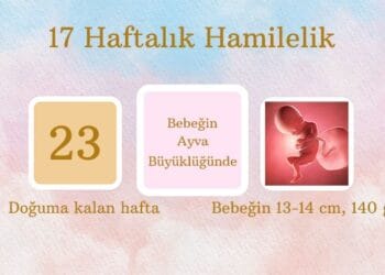 17 haftalık hamilelik