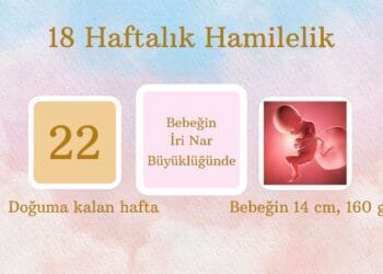 18 haftalık hamilelik