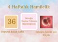 4 haftalık hamilelik