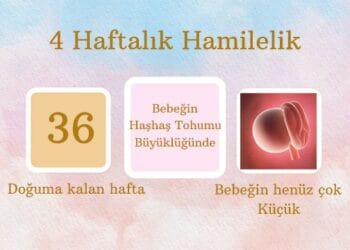 4 haftalık hamilelik
