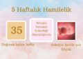 5 haftalık hamilelik