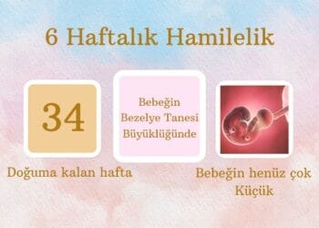 6 haftalık hamilelik