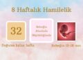 8 haftalık hamilelik