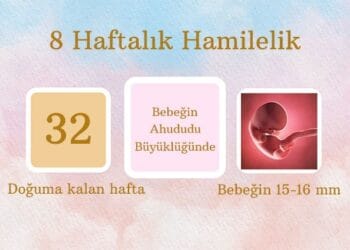 8 haftalık hamilelik