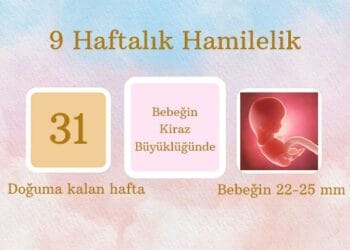 9 haftalık hamilelik