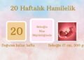 20 haftalık bebek gelişimi
