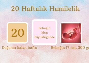 20 haftalık bebek gelişimi