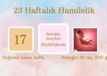 23 haftalık hamilelik
