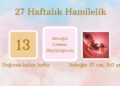27 haftalık hamilelik