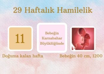 29 haftalık hamilelik
