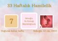 33 haftalık hamilelik