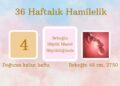 36 haftalık hamilelik