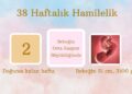 38 haftalık hamilelik
