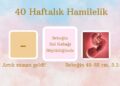 40 haftalık hamilelik