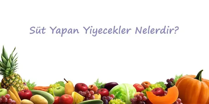 süt yapan yiyecekler nelerdir ve yiyeceklerin faydaları