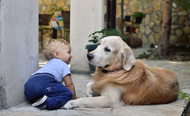 çocuk ve köpek birlikte güzel zaman geçirebilirler ve onlara sorumluluk sahibi olmalarına yardımcı olur.